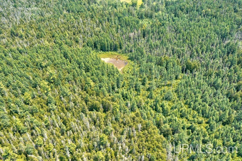 577 Rd Daggett Mi 49821 Road, Unit NONE Daggett, MI 49821 - Photo 6 of 9