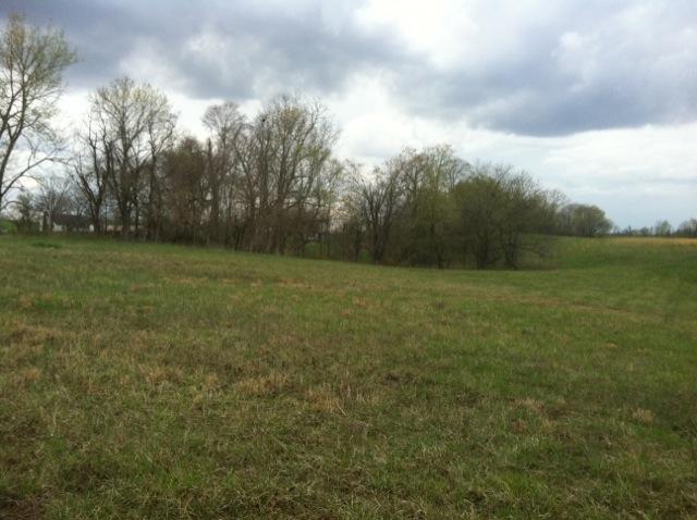 1 Gunn Road Adams, TN 37010 - Photo 1 of 9