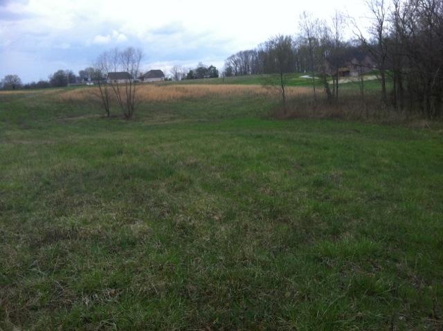1 Gunn Road Adams, TN 37010 - Photo 6 of 9