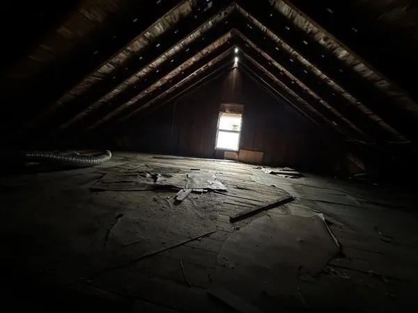 a view of a backyard with large trees