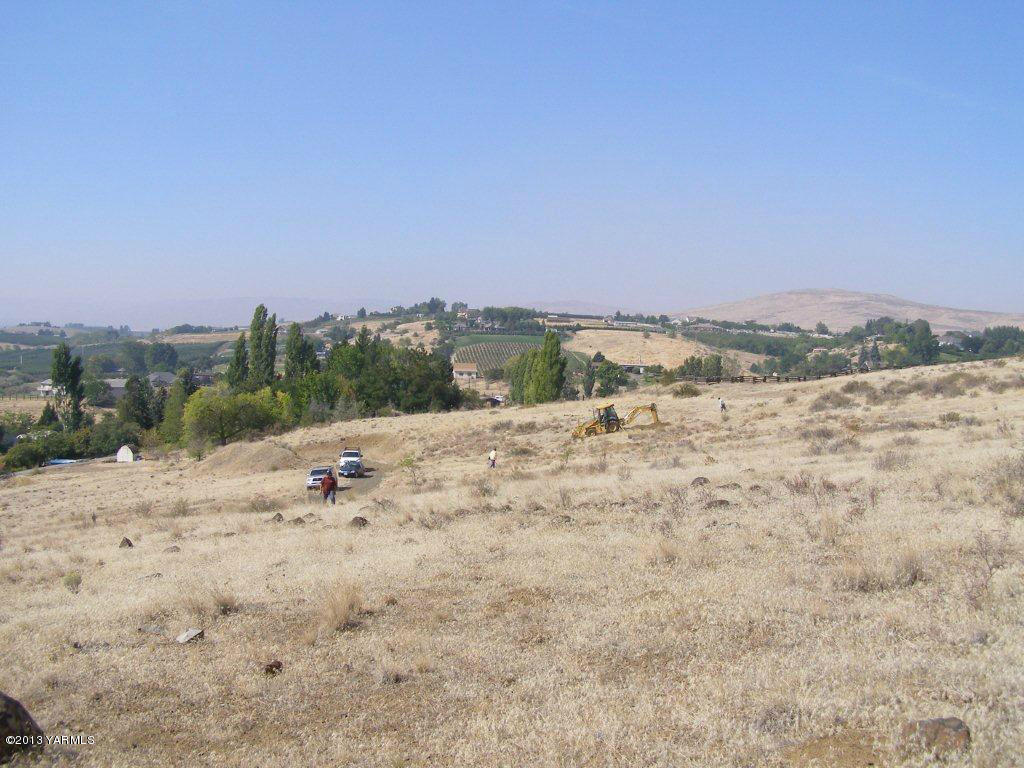 a view of a dry yard with a mountain in the background