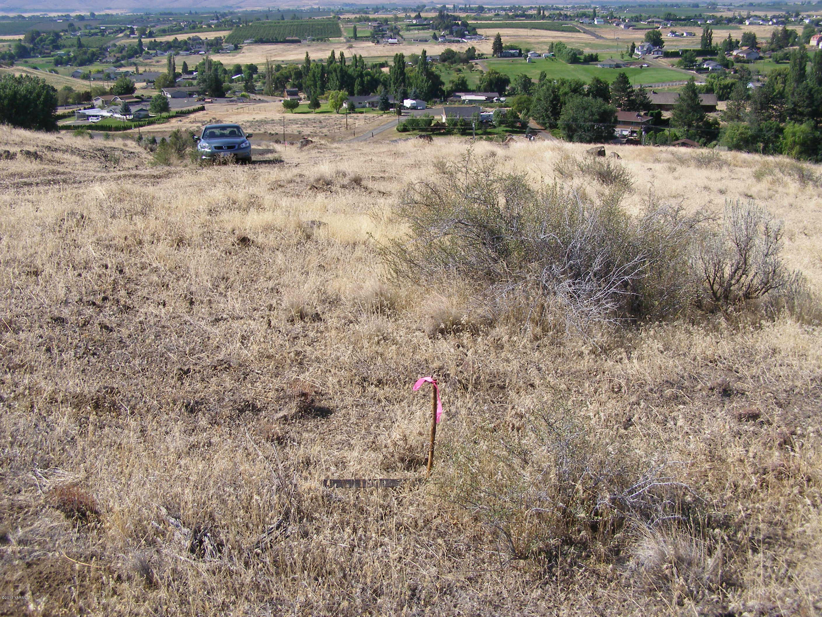 10845 Summitview Road Yakima, WA 98908 - Photo 4 of 6 a view of a dry yard with trees