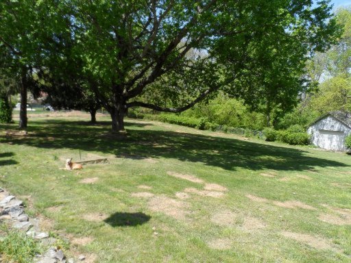 5307 East Sunset Road Knoxville, TN 37914 - Photo 22 of 31 Additional Photo