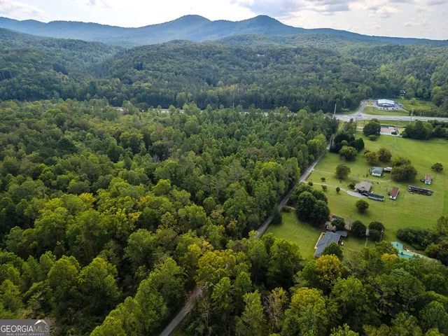 an aerial view of a forest with houses