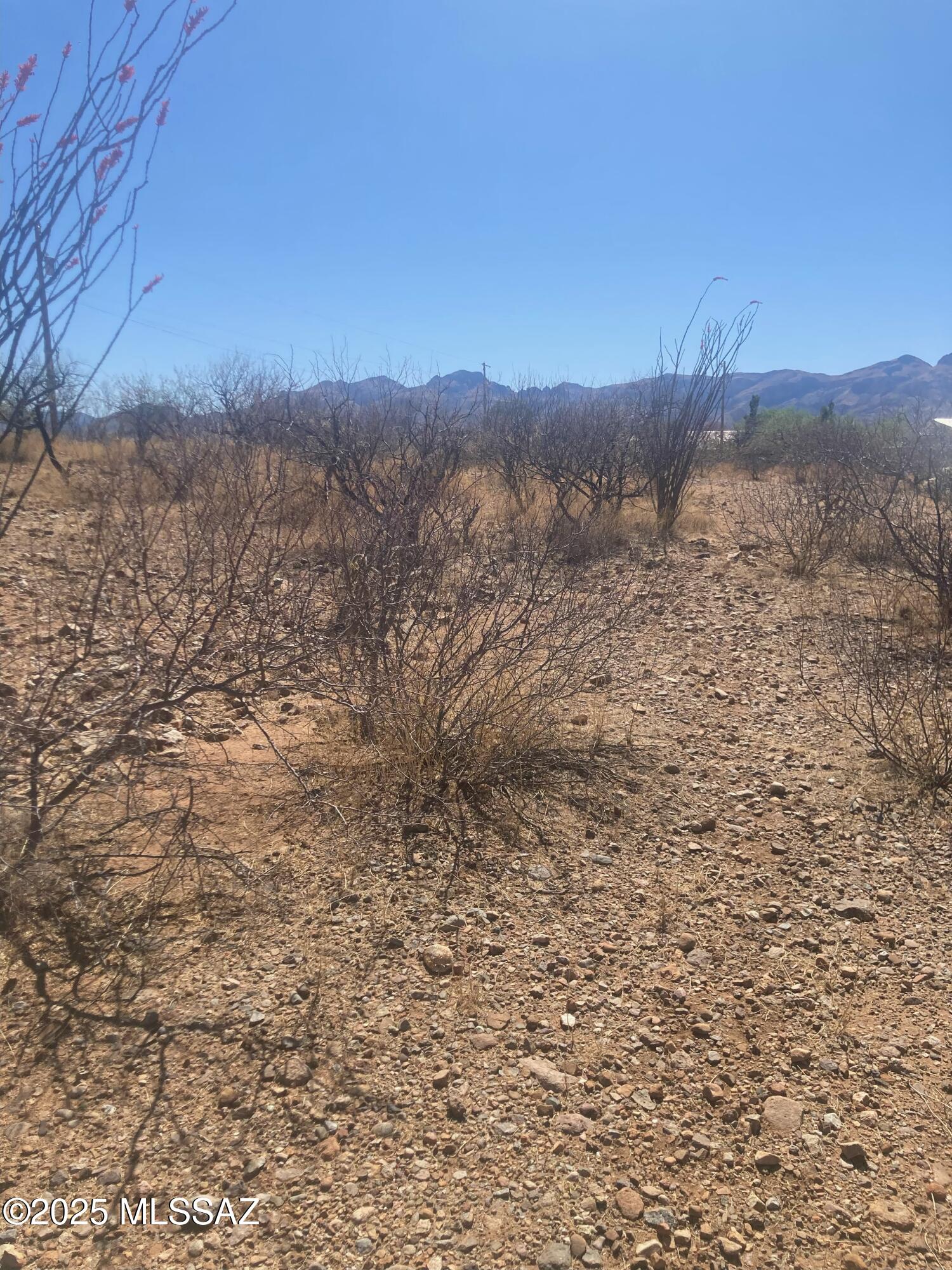 36 Avenida De Las Naciones, Unit 16 Rio Rico, AZ 85648 - Photo 2 of 2