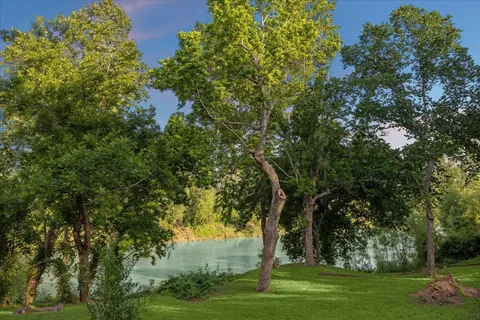 a view of a garden with a bench in a garden