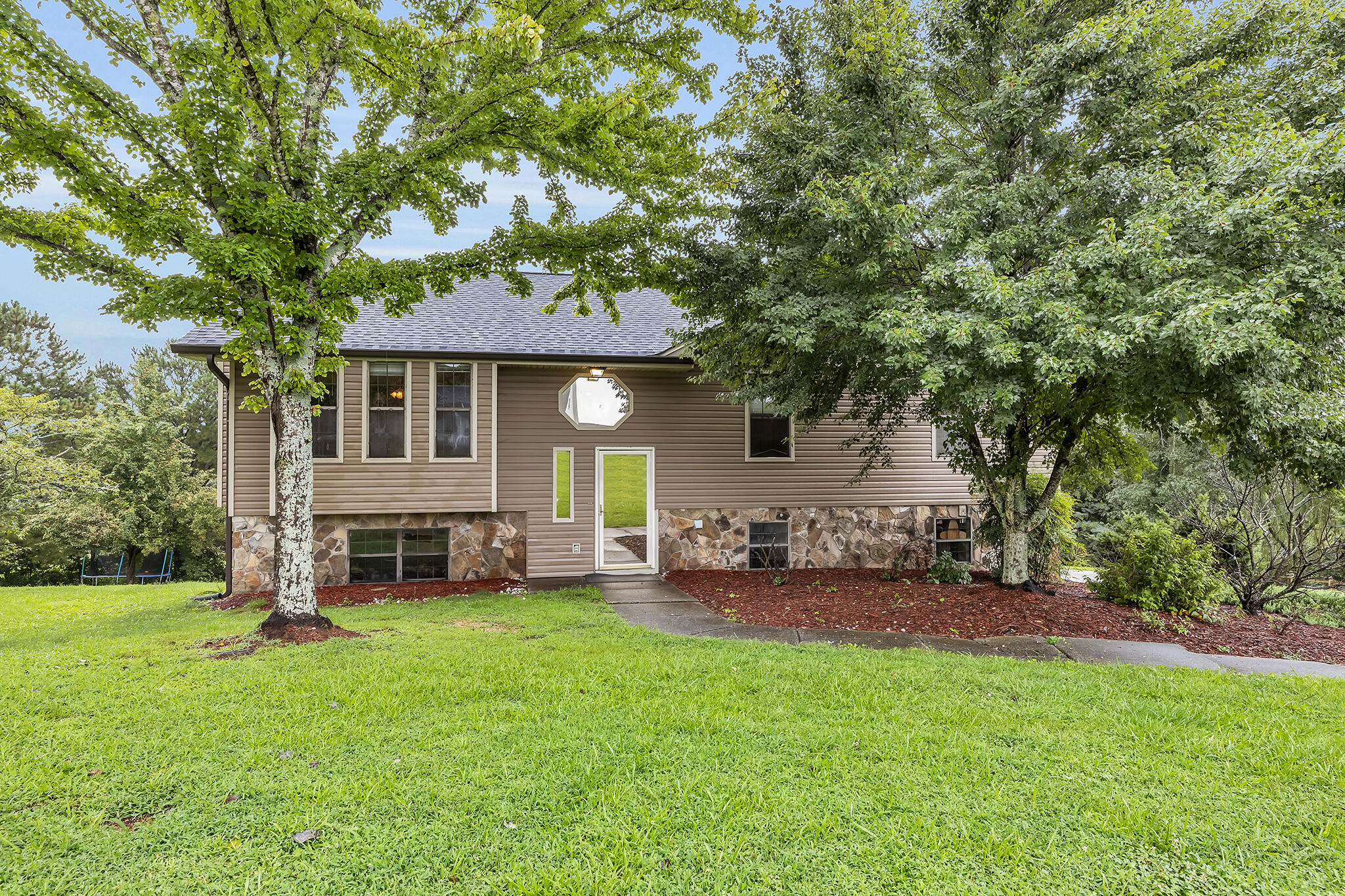 699 Misty Ridge Lane Ringgold, GA 30736 - Photo 3 of 11 4T1A4246