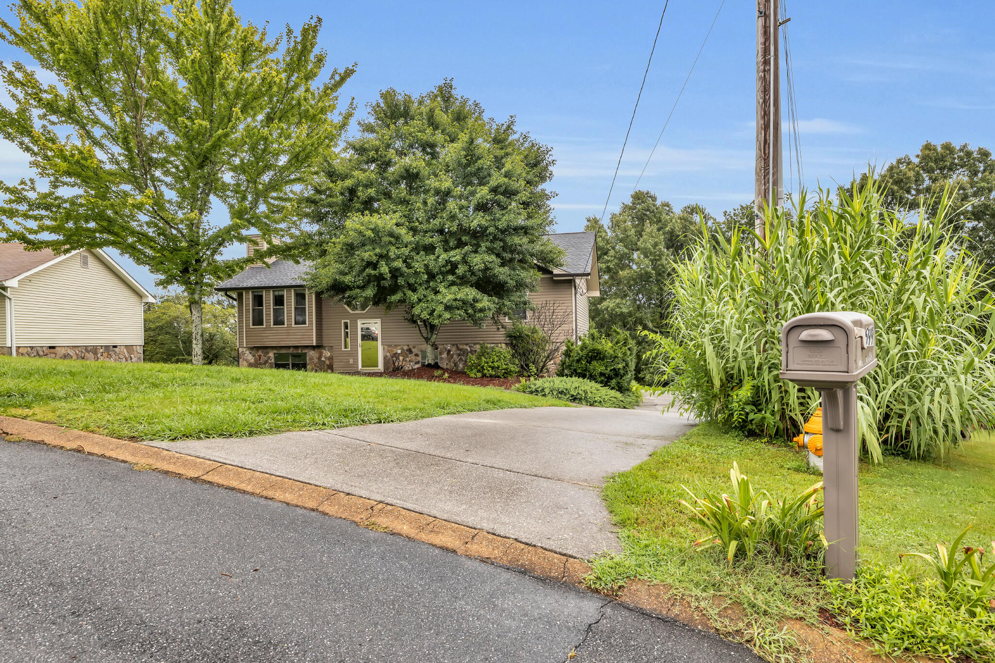 699 Misty Ridge Lane Ringgold, GA 30736 - Photo 4 of 11 4T1A4255