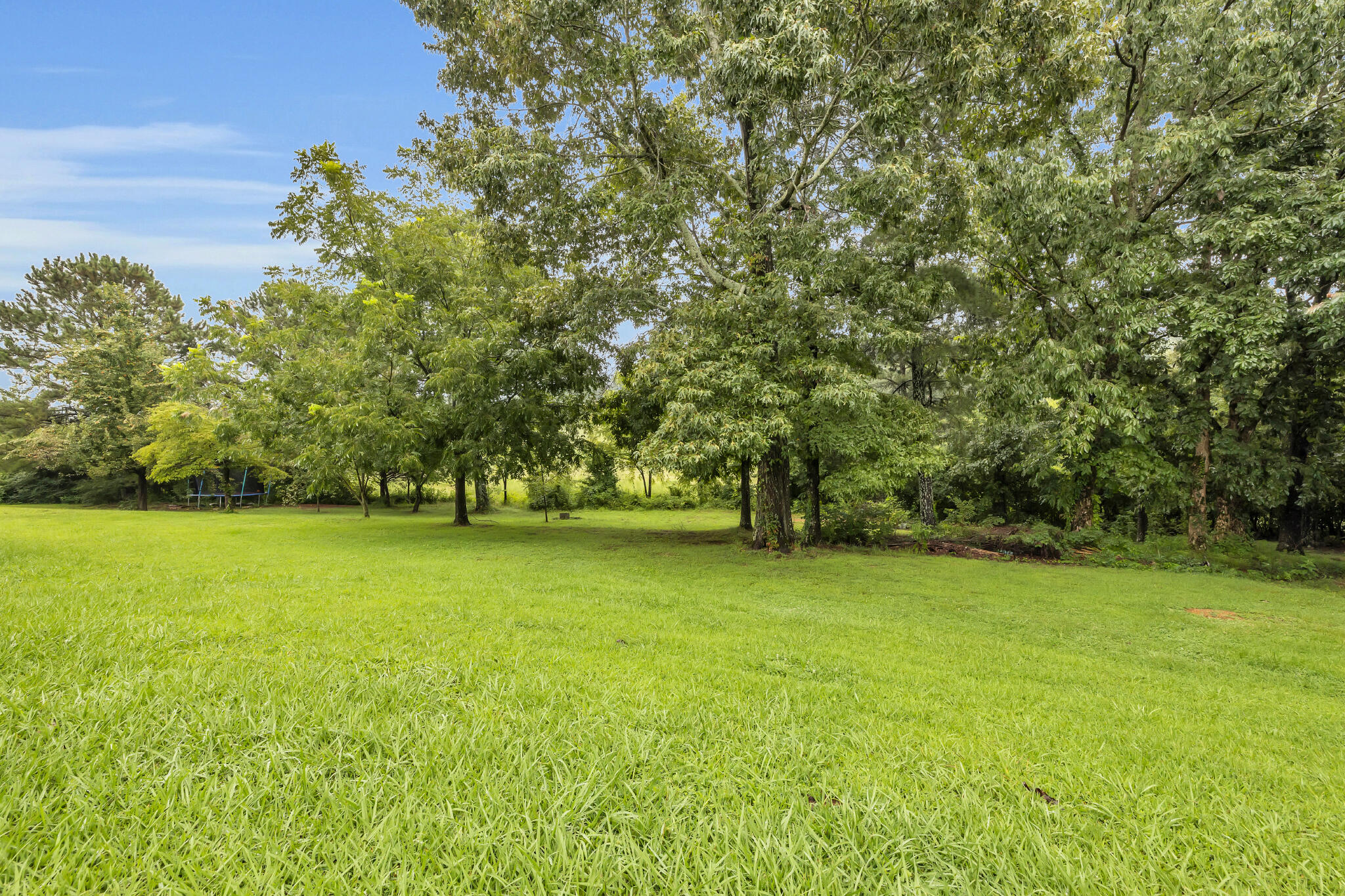 699 Misty Ridge Lane Ringgold, GA 30736 - Photo 8 of 11 4T1A4261