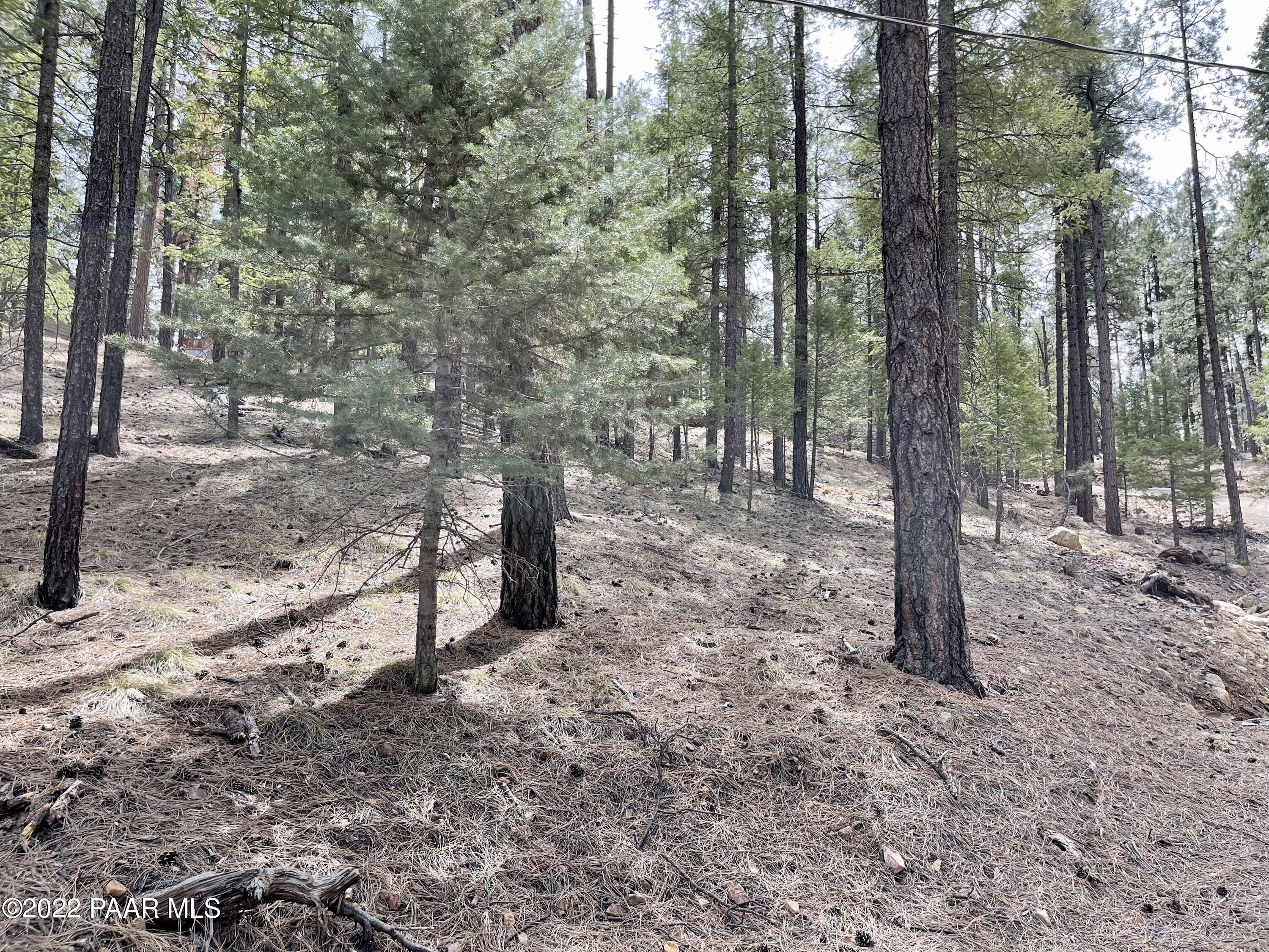 3485 East Sheldon Road Prescott, AZ 86303 - Photo 8 of 11 View 8