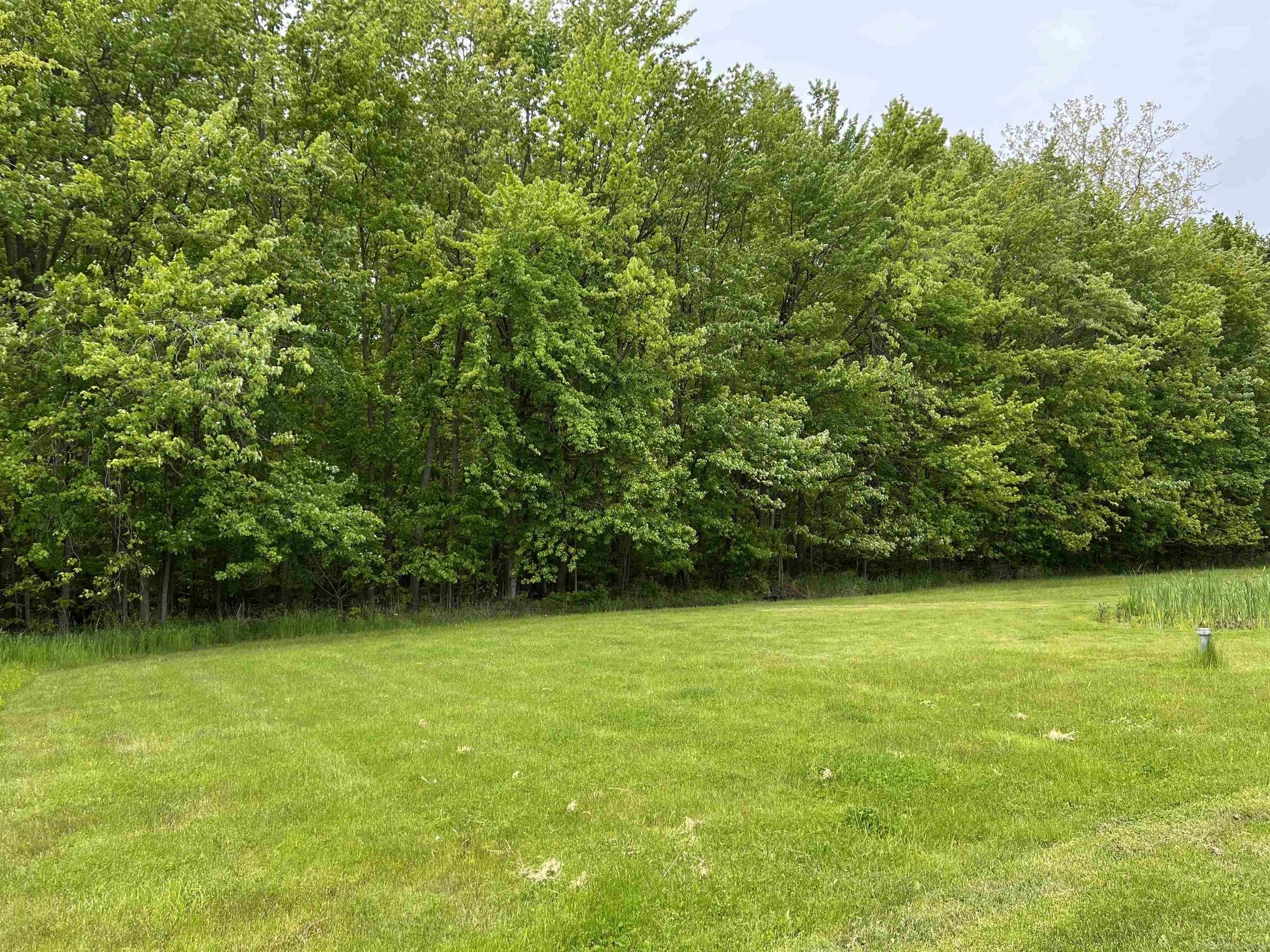 815 Cove Road Goodells, MI 48027 - Photo 4 of 88 50176590-306ae100-fbb9-4b9f-89a4-f60f5ee5513d.JPG