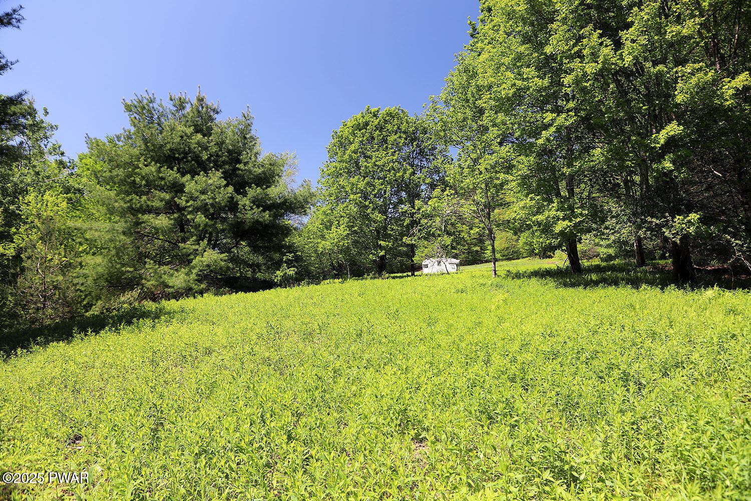 0 John Milk Road Hancock, NY 13783 - Photo 9 of 47