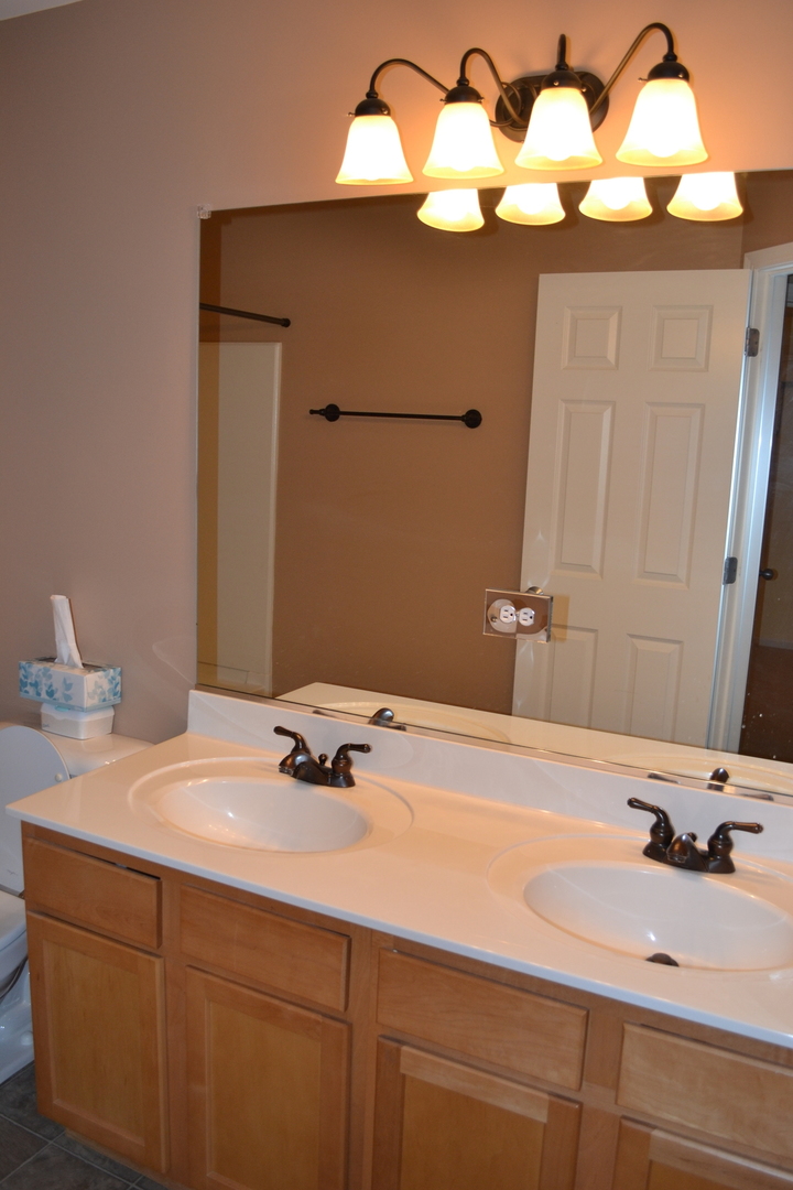 161 Springbrook Trail South Oswego, IL 60543 - Photo 11 of 19