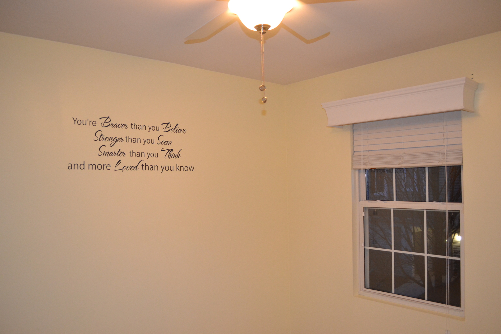 161 Springbrook Trail South Oswego, IL 60543 - Photo 13 of 19