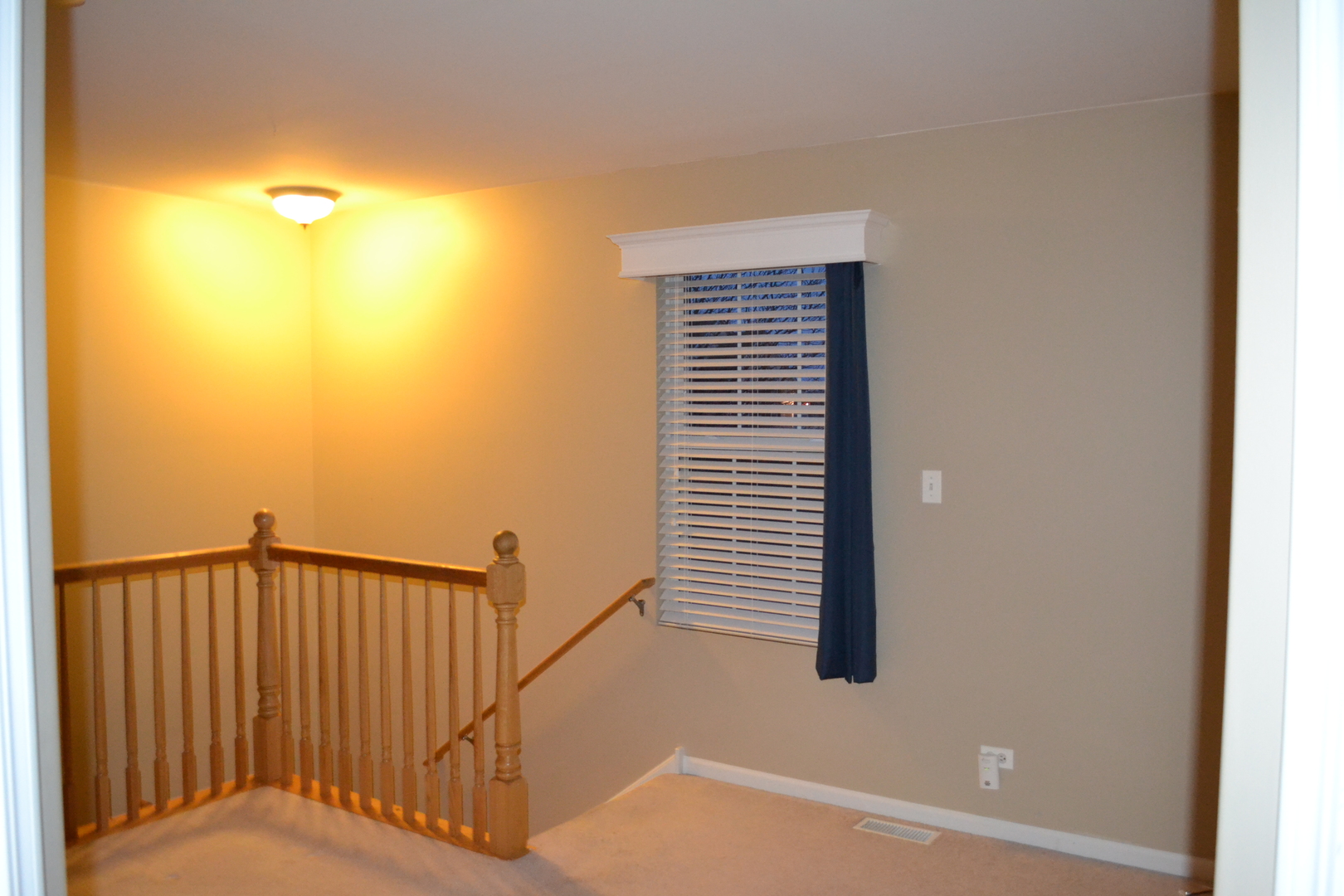 161 Springbrook Trail South Oswego, IL 60543 - Photo 14 of 19