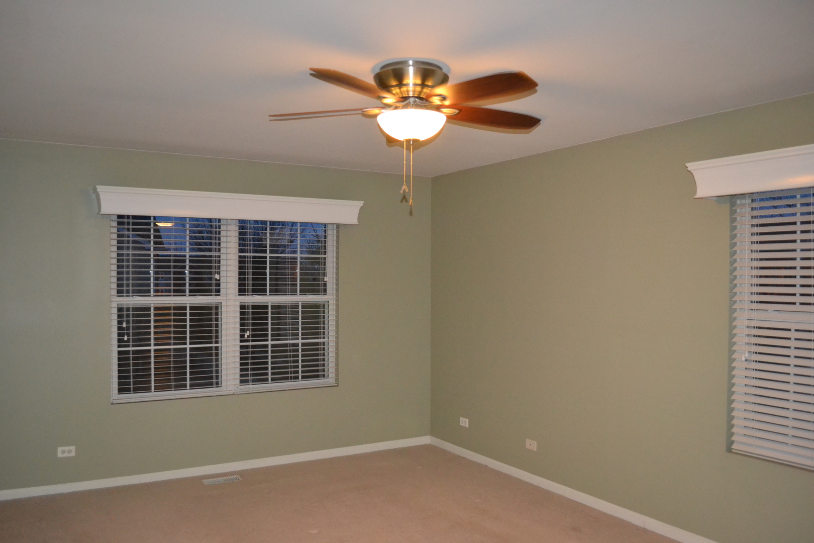 161 Springbrook Trail South Oswego, IL 60543 - Photo 17 of 19