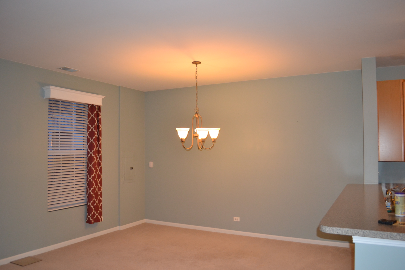 161 Springbrook Trail South Oswego, IL 60543 - Photo 3 of 19