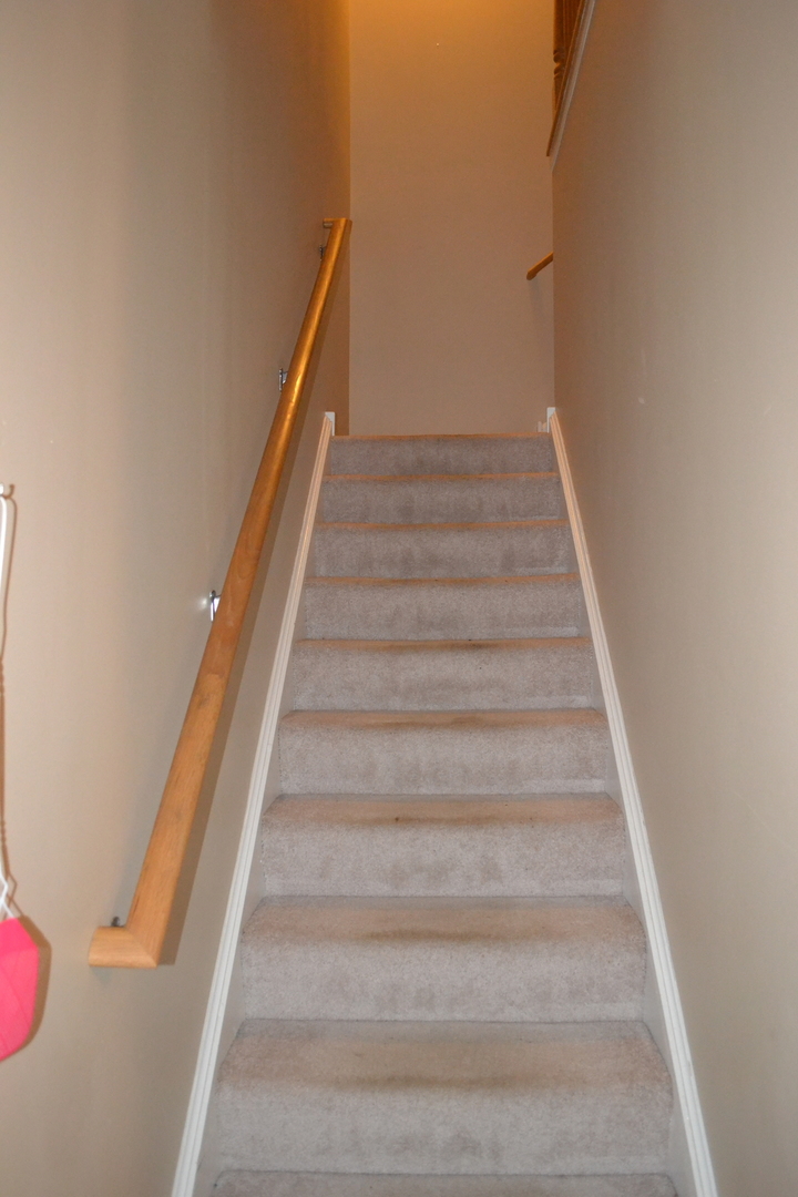 161 Springbrook Trail South Oswego, IL 60543 - Photo 8 of 19