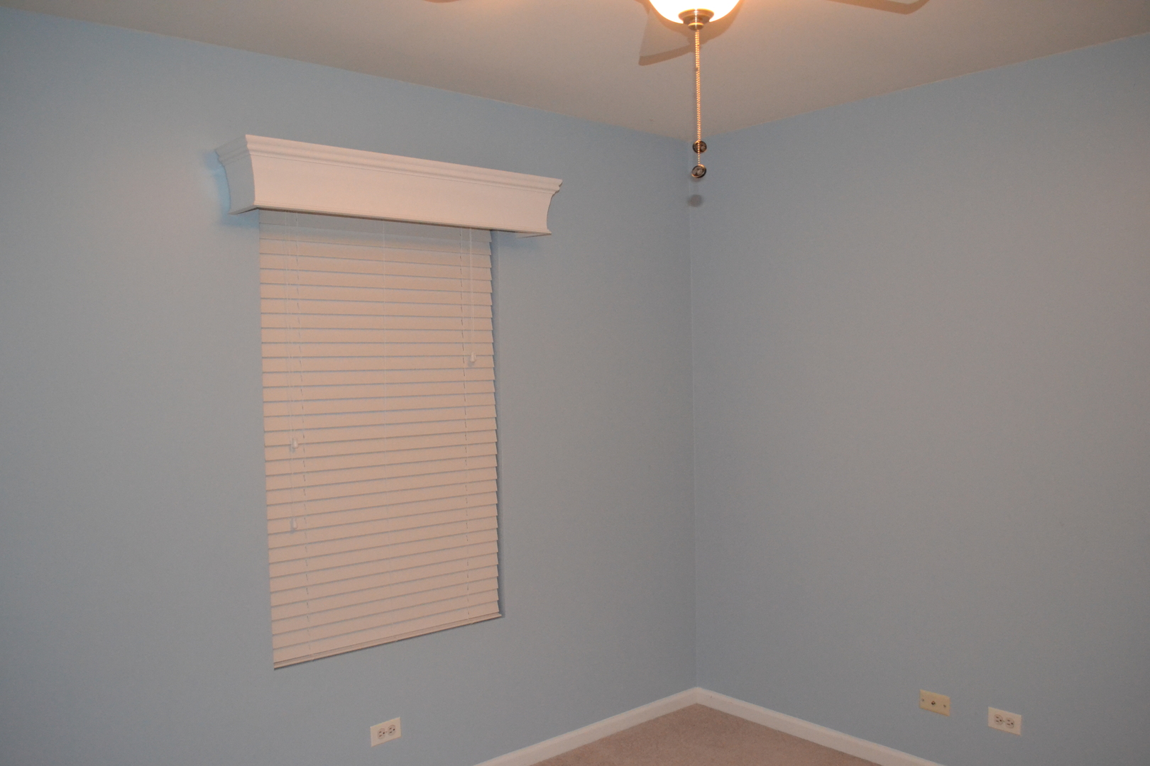 161 Springbrook Trail South Oswego, IL 60543 - Photo 9 of 19