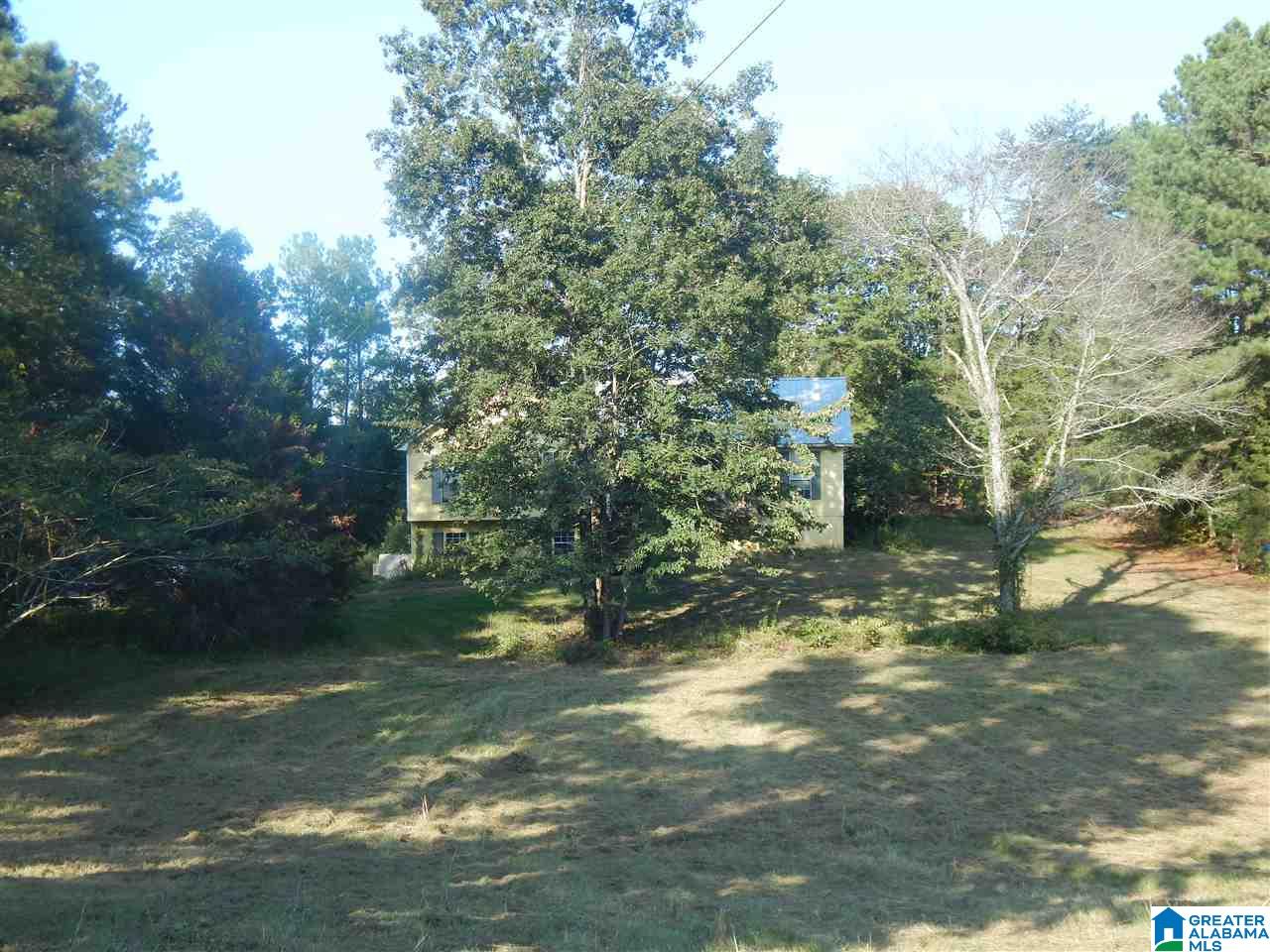 2100 Old Woodstock Road West Blocton, AL 35184 - Photo 6 of 6
