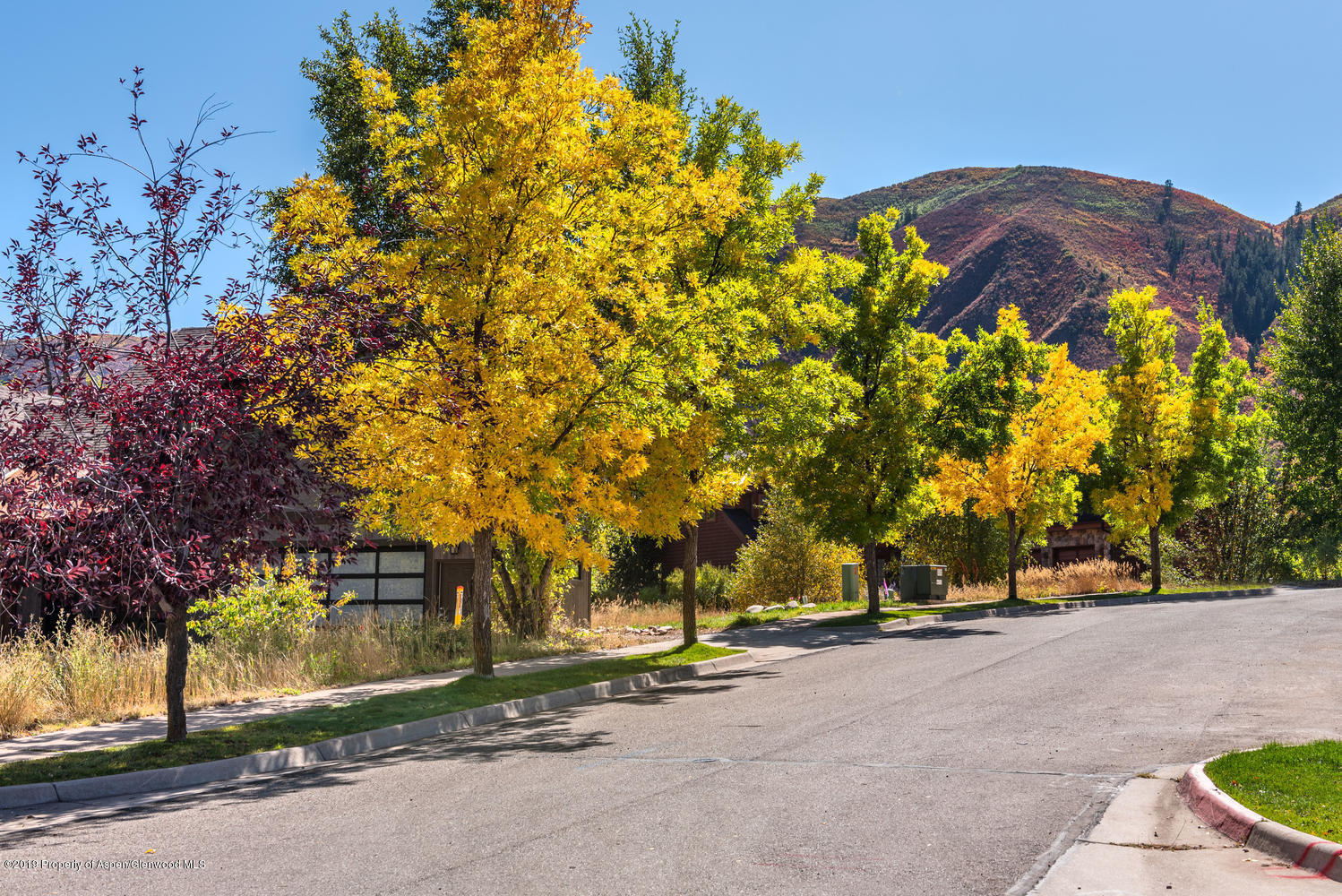 407 Allison Lane Basalt, CO 81621 - Photo 3 of 11 a view of road and with trees