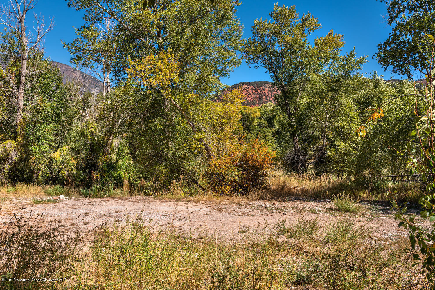 407 Allison Lane Basalt, CO 81621 - Photo 4 of 11 a view of outdoor space and covered with trees