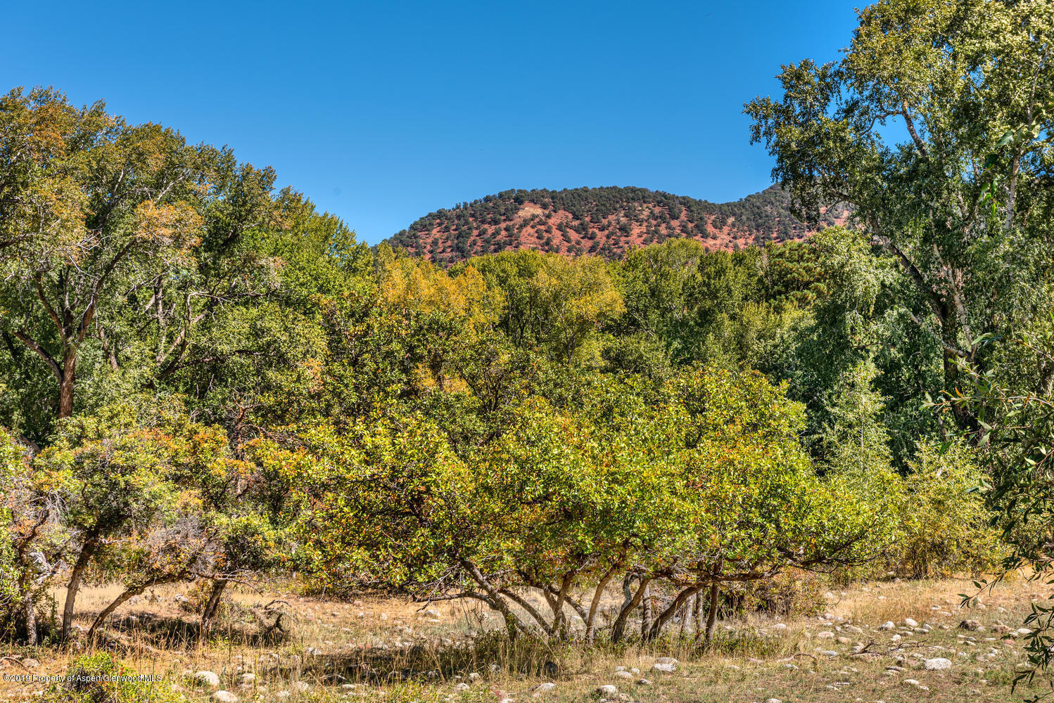 407 Allison Lane Basalt, CO 81621 - Photo 6 of 11 a view of a field
