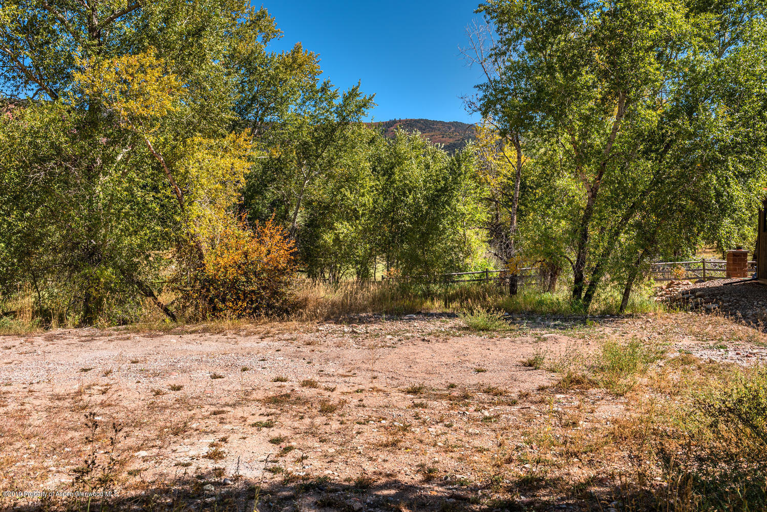 407 Allison Lane Basalt, CO 81621 - Photo 7 of 11 a view of a yard with a tree