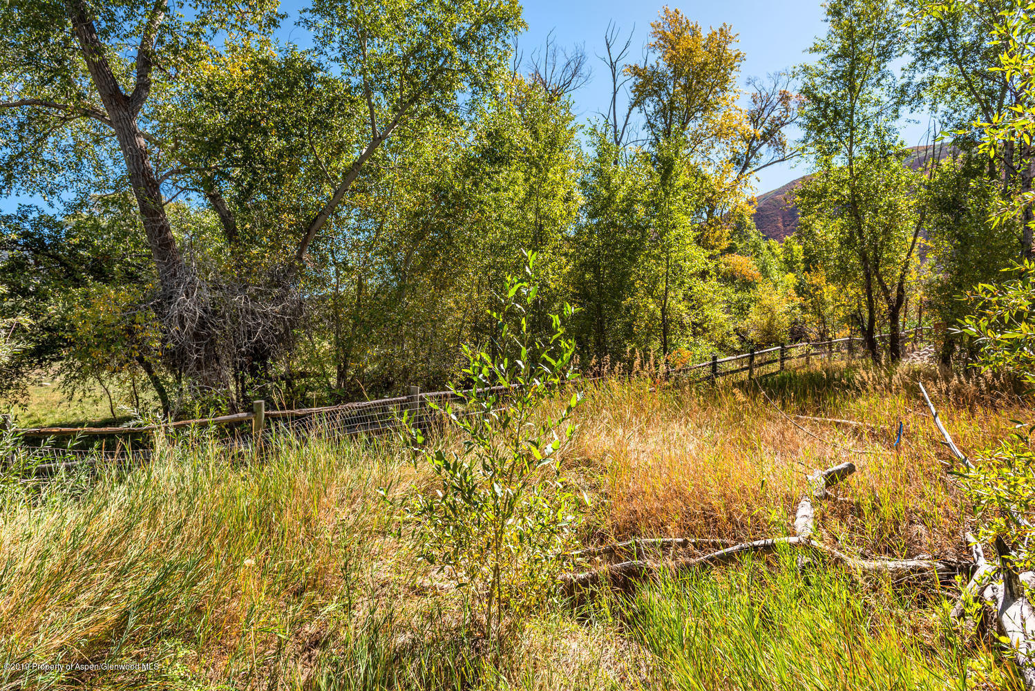 407 Allison Lane Basalt, CO 81621 - Photo 8 of 11 a view of swimming pool from a yard