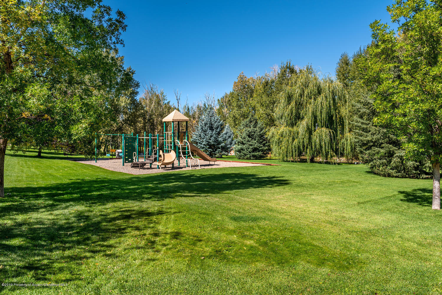 407 Allison Lane Basalt, CO 81621 - Photo 9 of 11 a view of a park with large trees