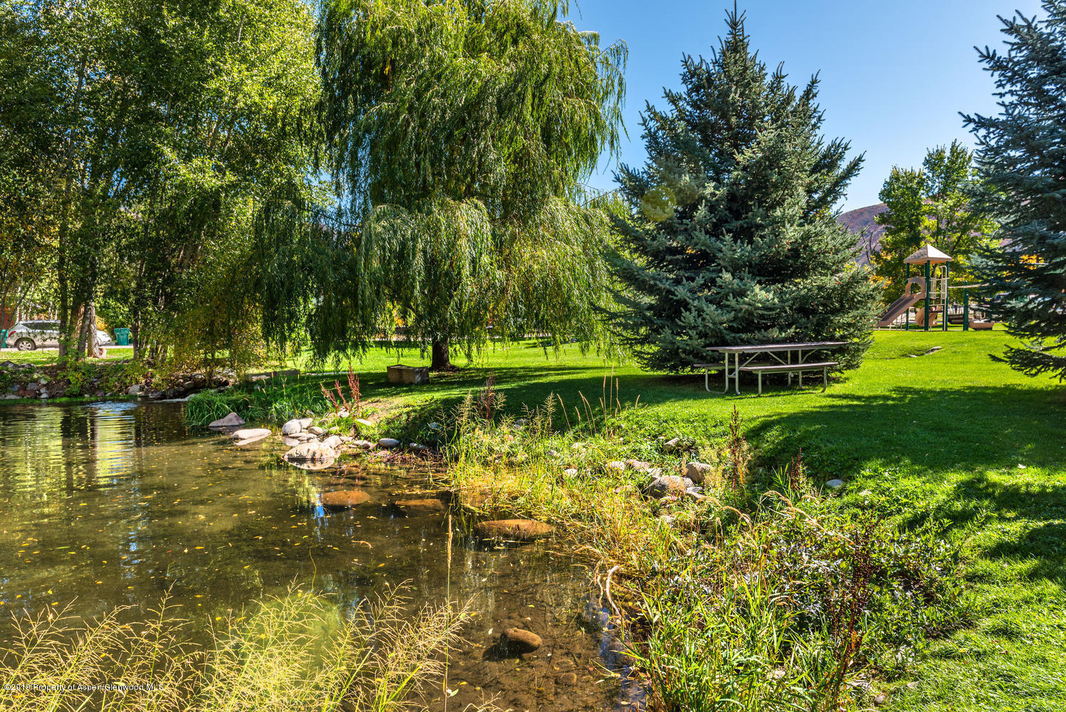 407 Allison Lane Basalt, CO 81621 - Photo 10 of 11 a view of a lake with a large trees