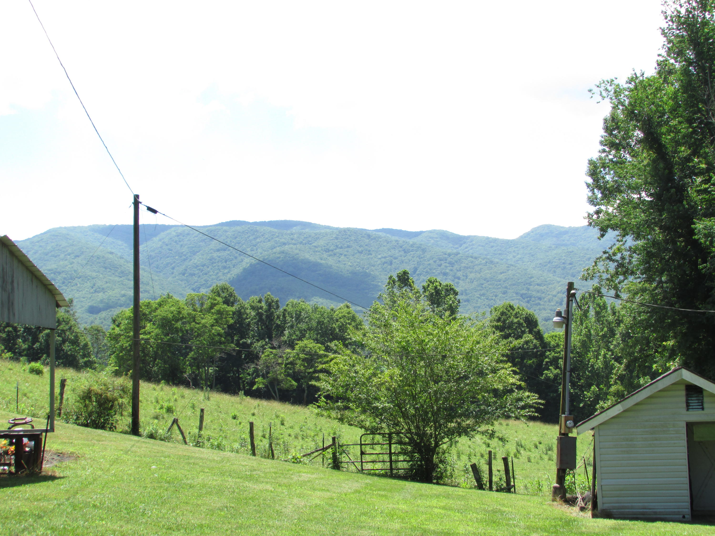 154 Carter Branch Road Elizabethton, TN 37643 - Photo 7 of 25 IMG_6730