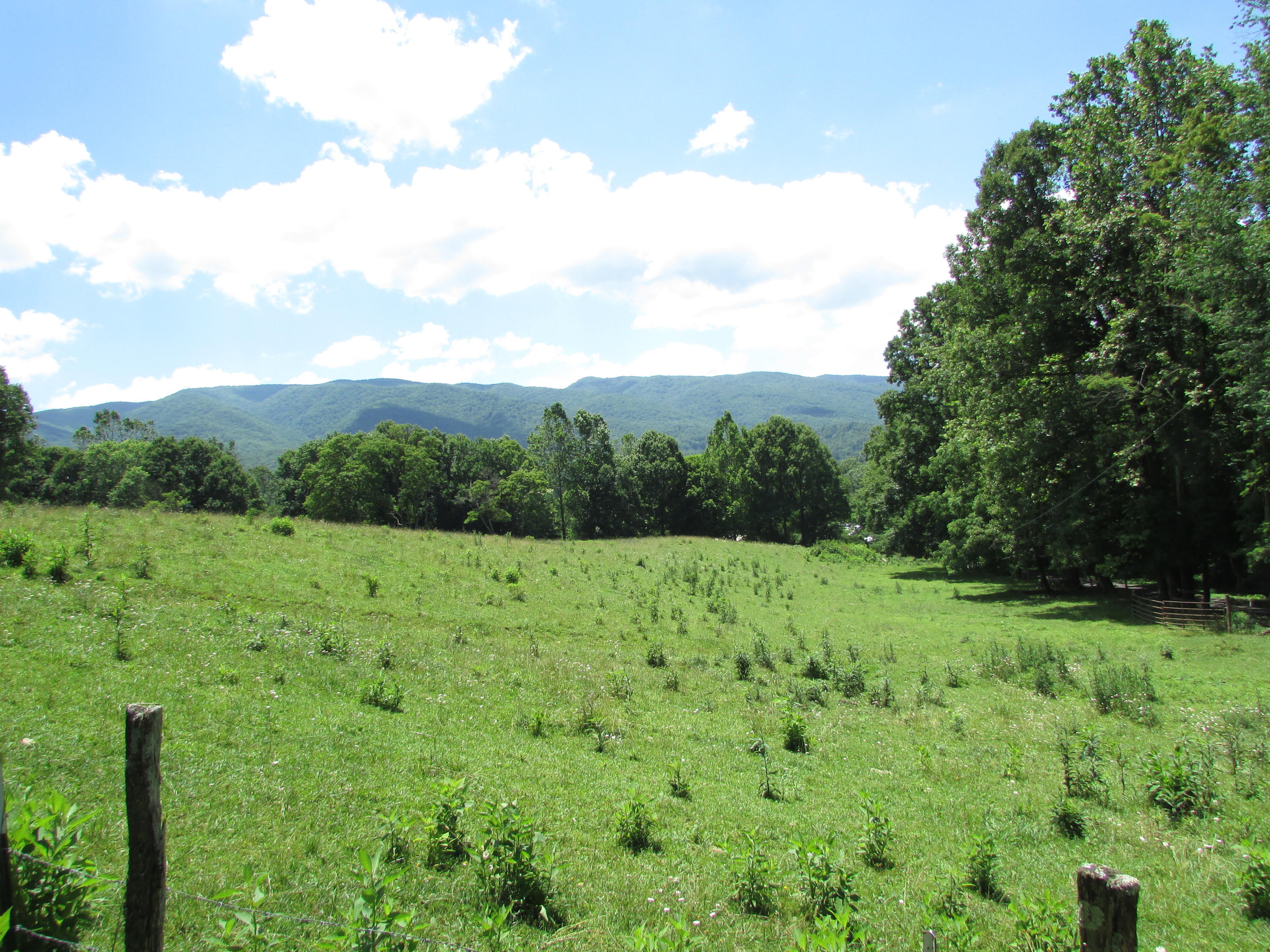 154 Carter Branch Road Elizabethton, TN 37643 - Photo 8 of 25 IMG_6731