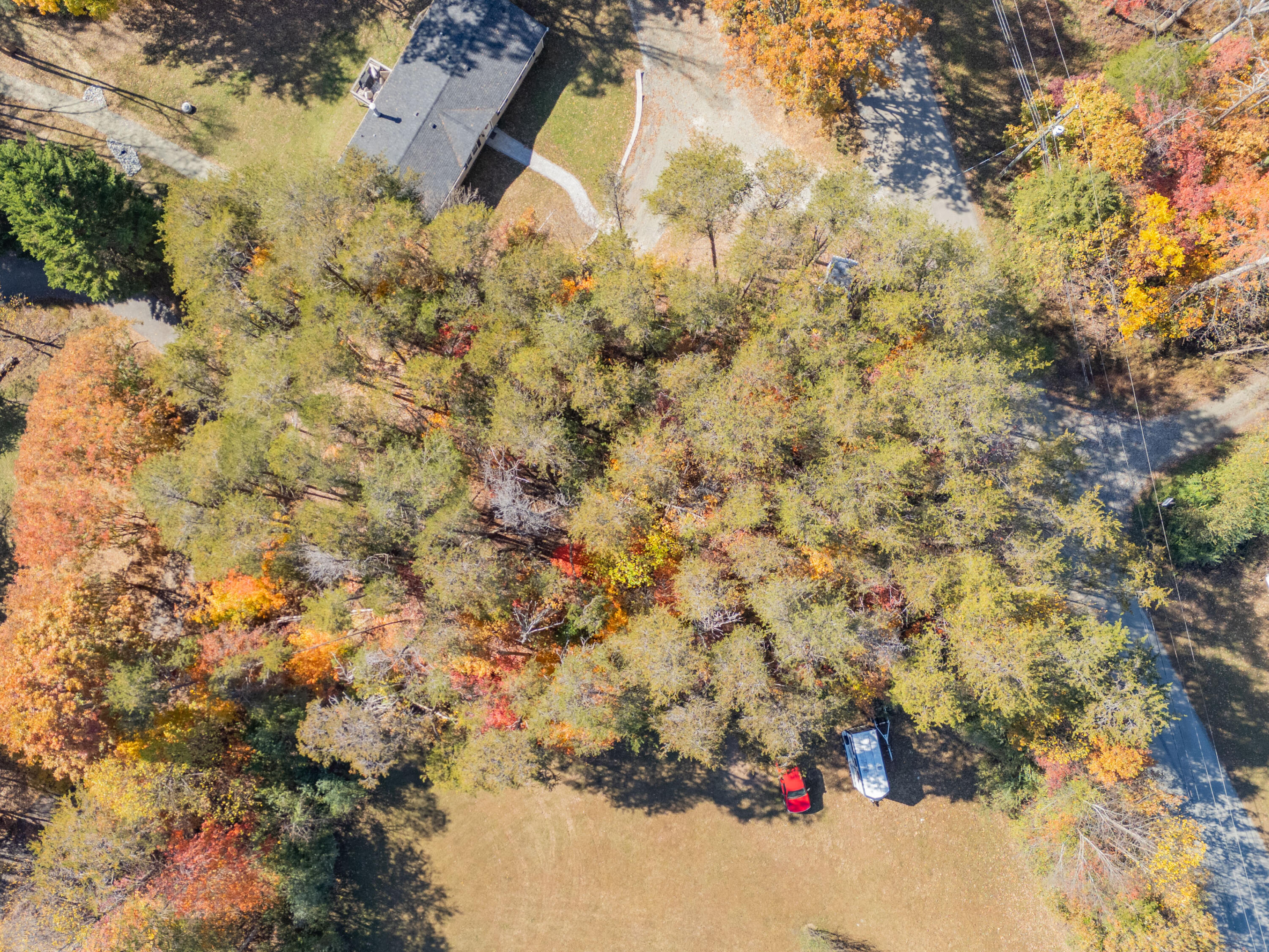 Tbd Lakewood Forest Road Moneta, VA 24121 - Photo 11 of 40 a view of a yard