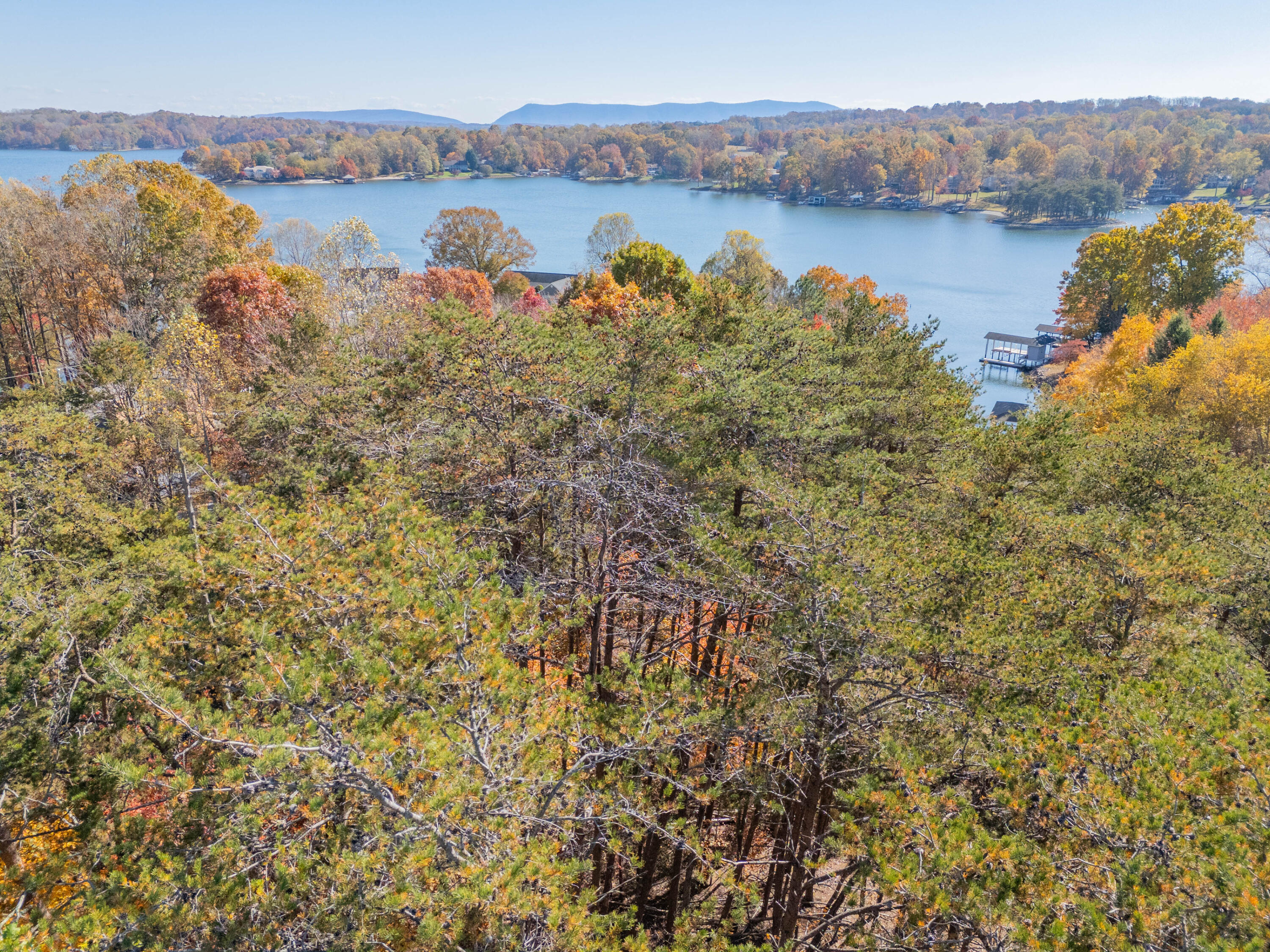 Tbd Lakewood Forest Road Moneta, VA 24121 - Photo 20 of 40 a view of lake with mountain