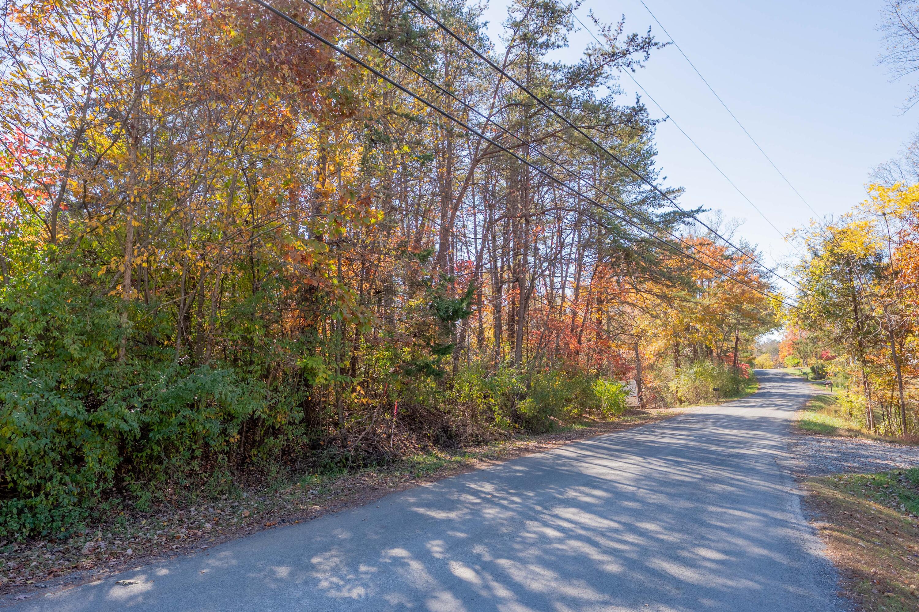 Tbd Lakewood Forest Road Moneta, VA 24121 - Photo 21 of 40 a view of outdoor space with deck