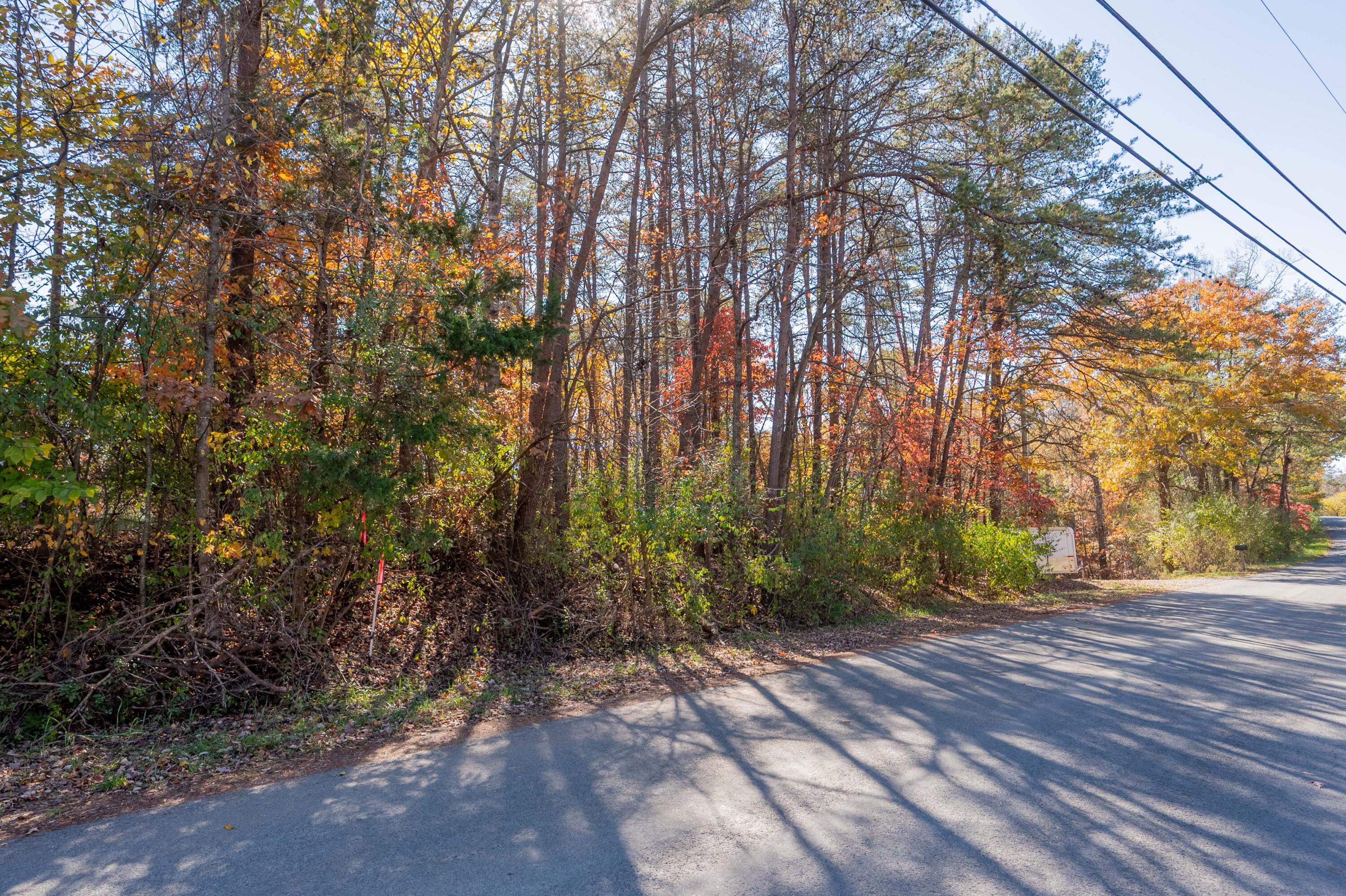 Tbd Lakewood Forest Road Moneta, VA 24121 - Photo 22 of 40 a view of a park with large trees