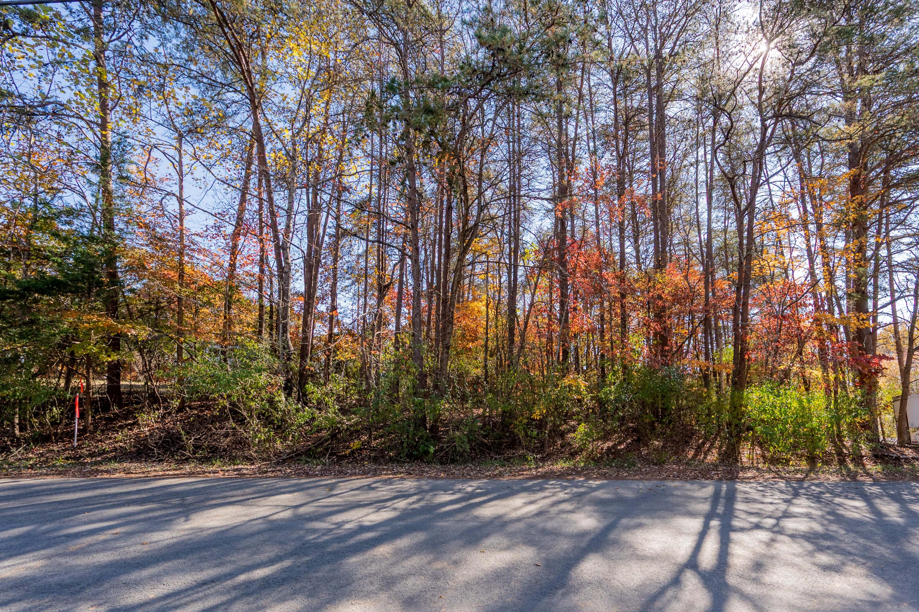 Tbd Lakewood Forest Road Moneta, VA 24121 - Photo 23 of 40 a view of backyard with green space