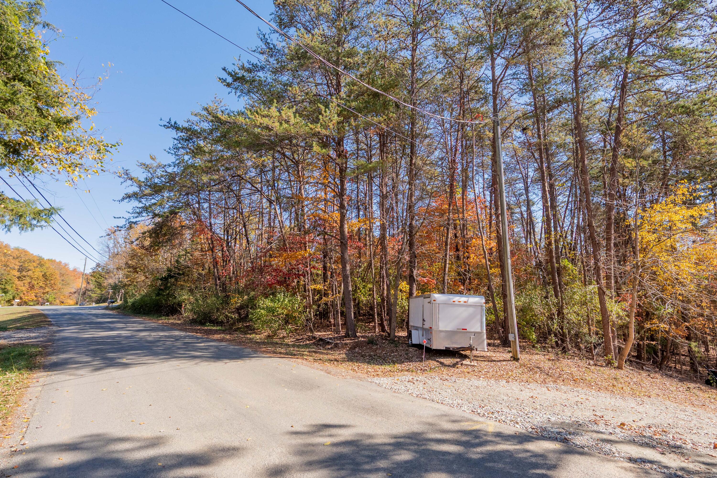 Tbd Lakewood Forest Road Moneta, VA 24121 - Photo 24 of 40 a front view of a house with a tree