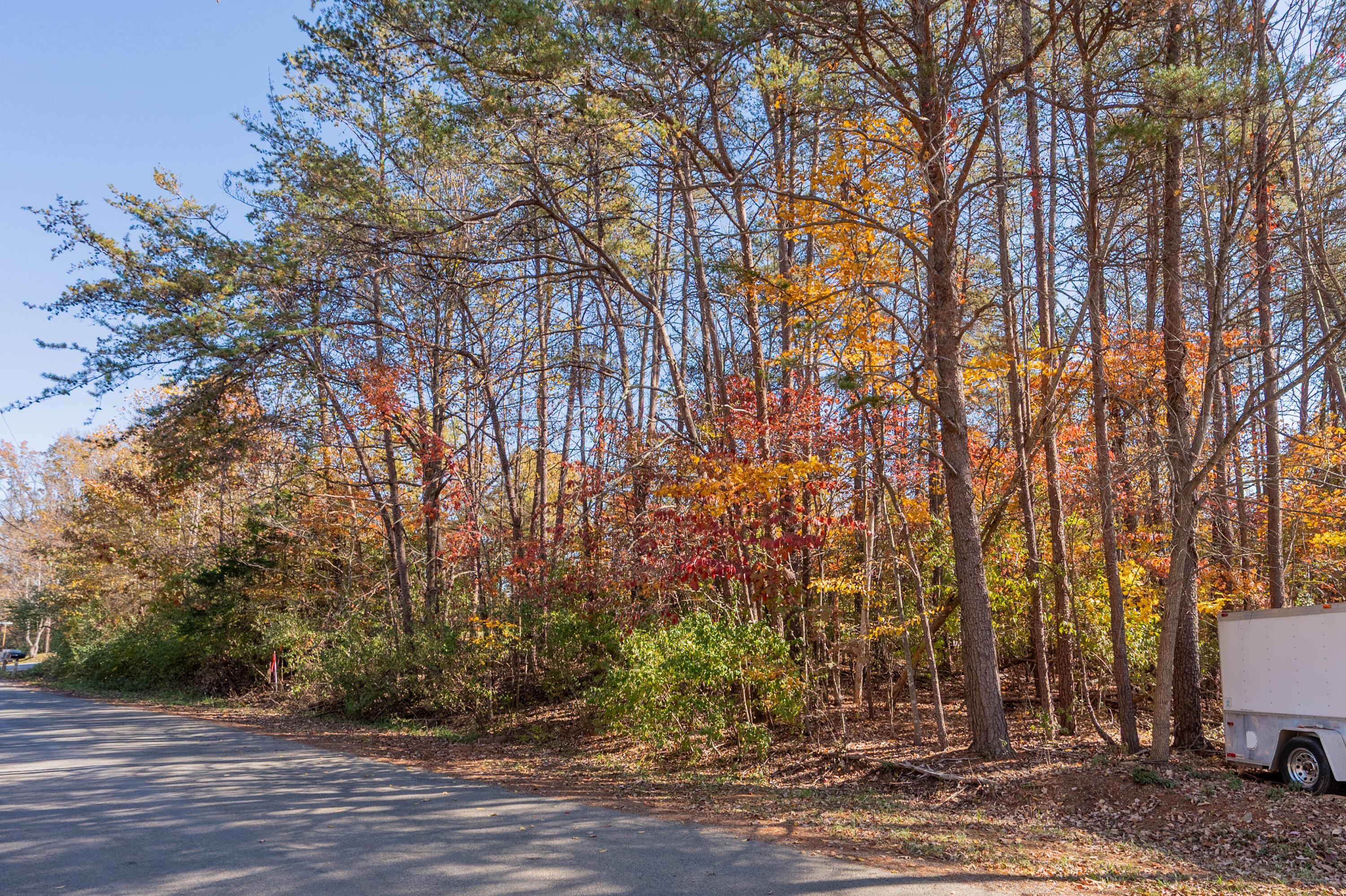 Tbd Lakewood Forest Road Moneta, VA 24121 - Photo 25 of 40 a view of a yard