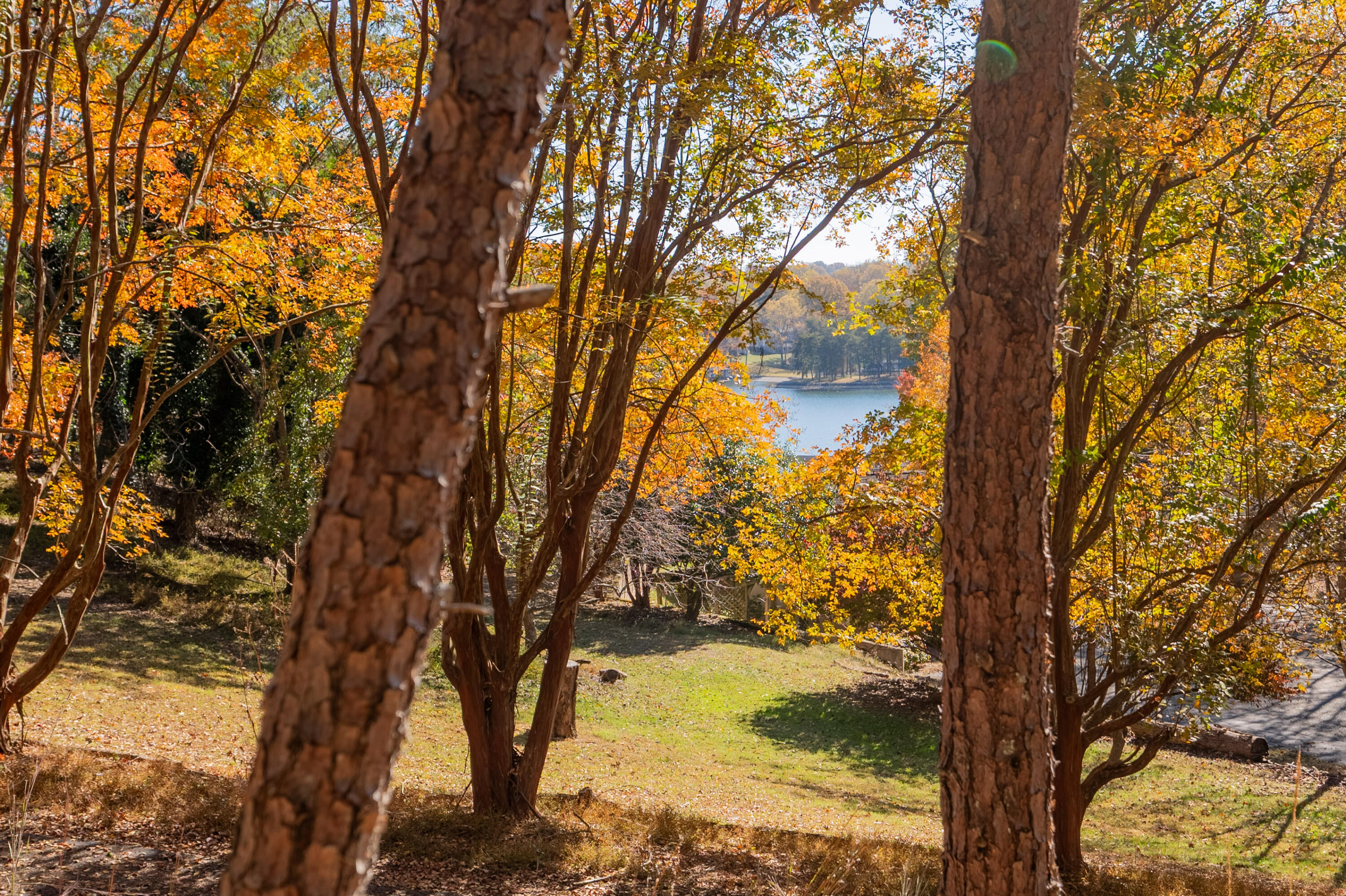 Tbd Lakewood Forest Road Moneta, VA 24121 - Photo 29 of 40