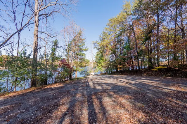 a view of road and trees