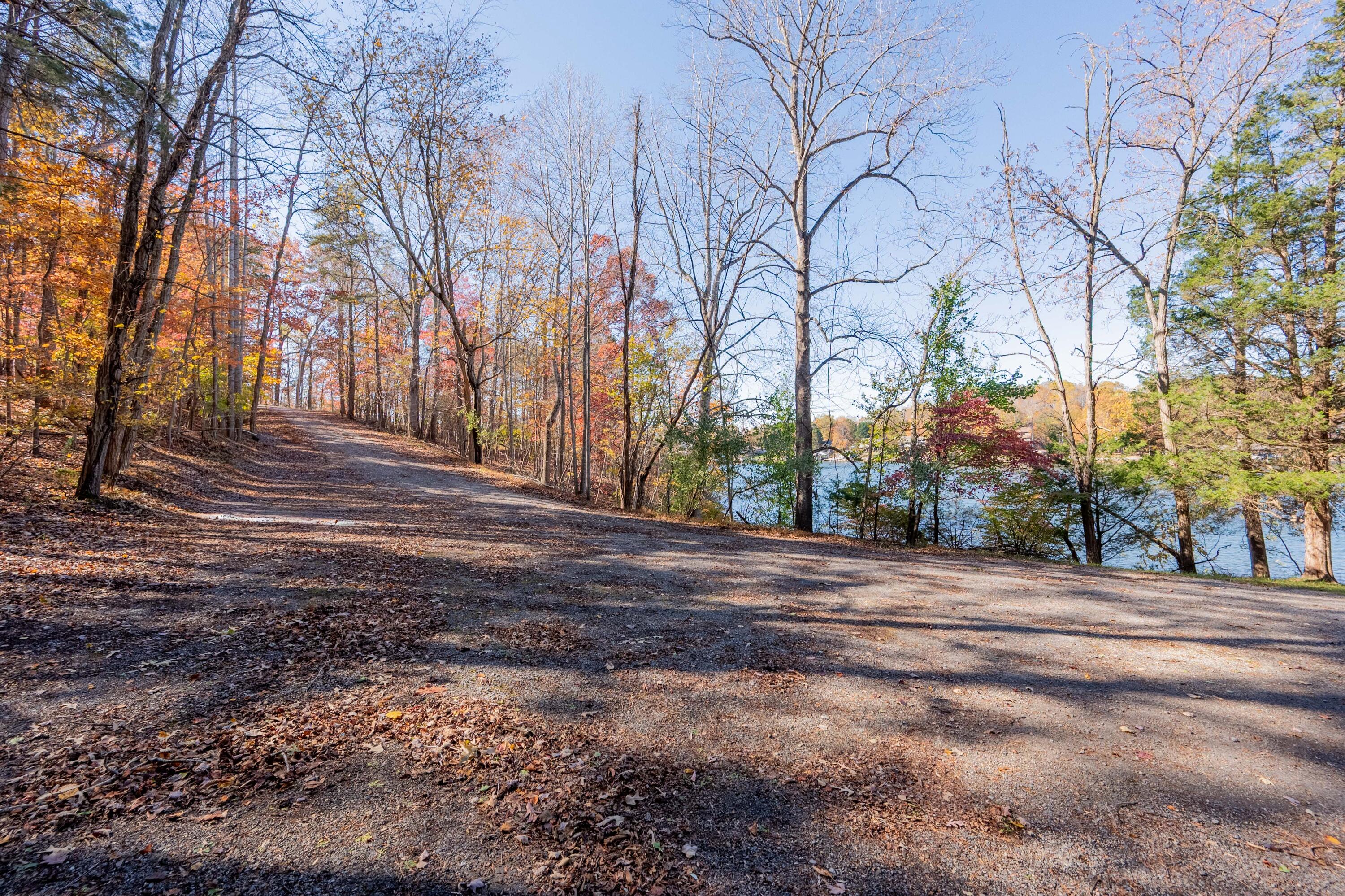 Tbd Lakewood Forest Road Moneta, VA 24121 - Photo 32 of 40 a view of road and trees