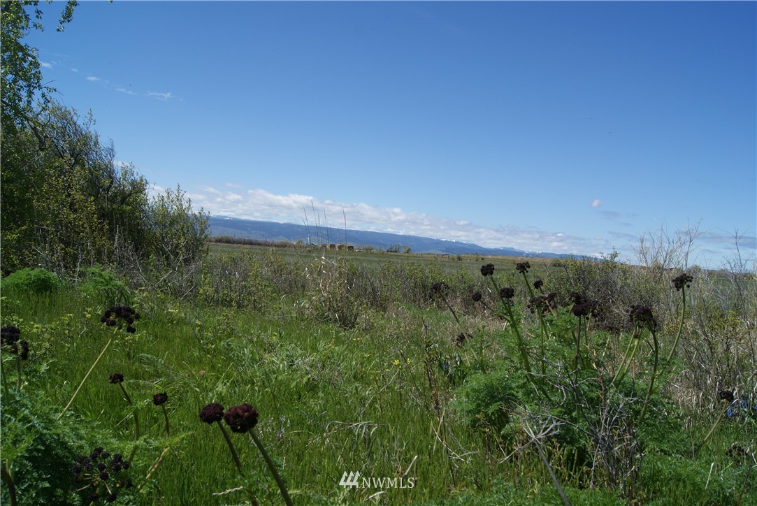 5481 Smithson Road Ellensburg, WA 98926 - Photo 15 of 25 Gallery Image 15