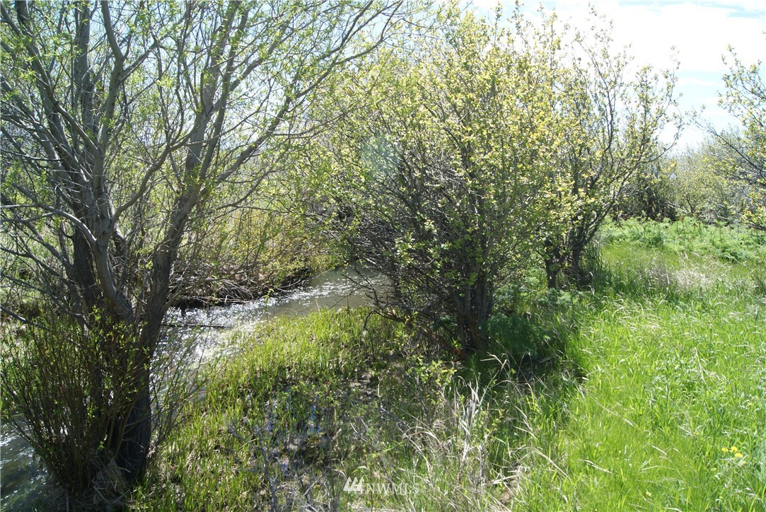 5481 Smithson Road Ellensburg, WA 98926 - Photo 10 of 25 Gallery Image 10