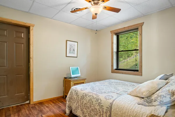 a view of a garden with a tree