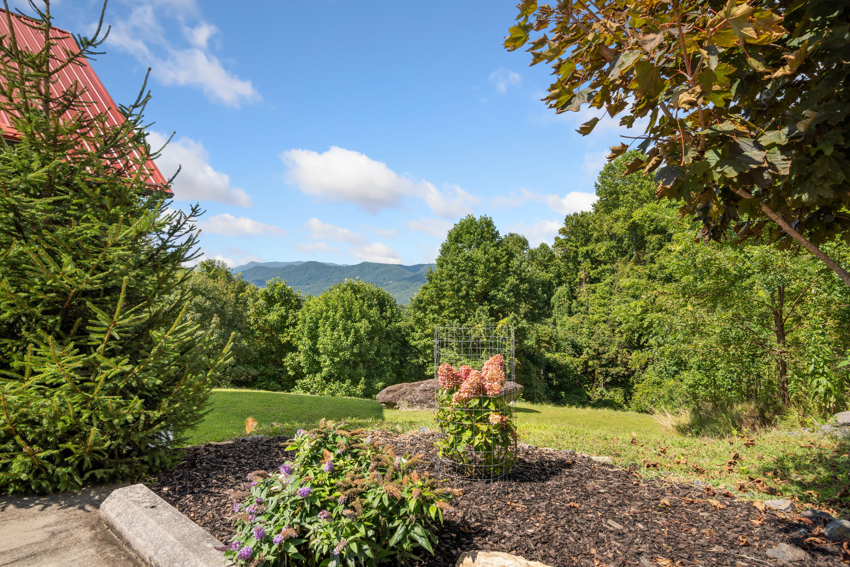 316 Reflections Pt Trail Fancy Gap, VA 24328 - Photo 49 of 78 a view of a garden with a tree