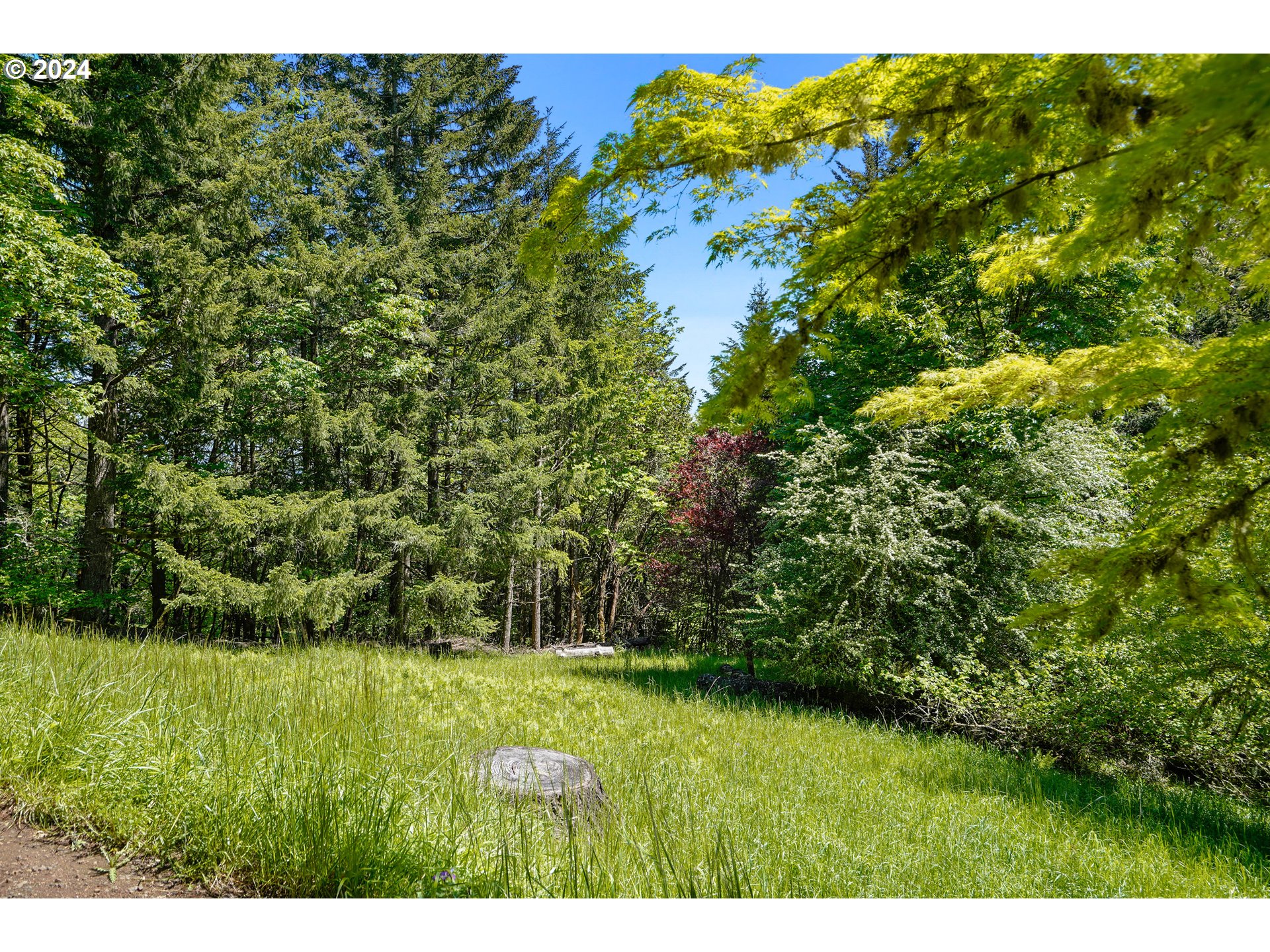 6815 Northwest Concord Drive Corvallis, OR 97330 - Photo 47 of 48 a view of a garden