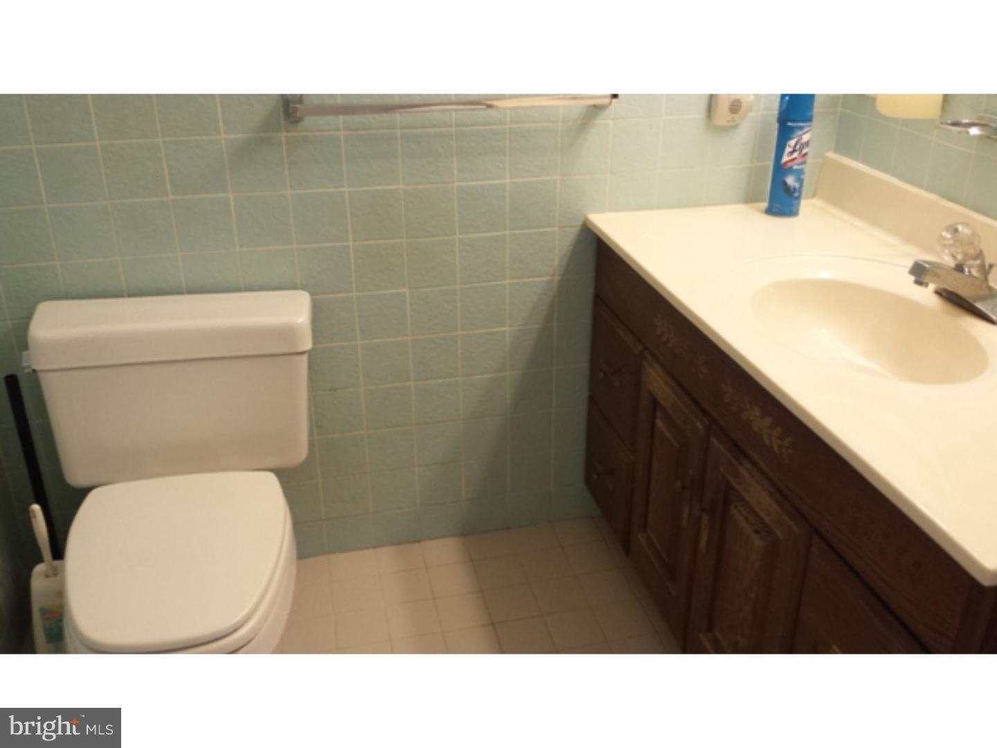 147 Fox Road Schuylkill Haven, PA 17972 - Photo 11 of 22 Master Bathroom