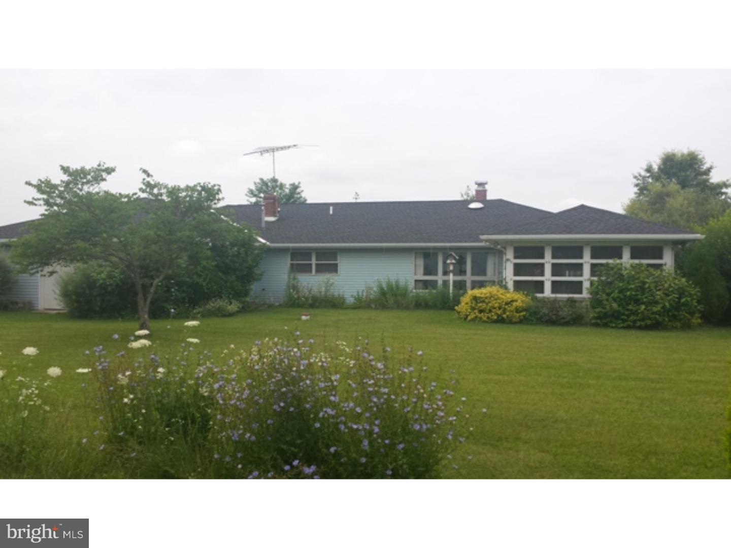 147 Fox Road Schuylkill Haven, PA 17972 - Photo 3 of 22 Back Yard
